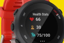 Garmin的Forerunner45和45S将满足大小手腕的需�
