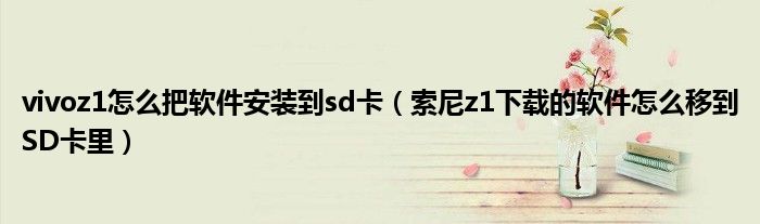 vivoz1如何将软件安装到SD卡(索尼z1下载的软件如何移动到sd卡)