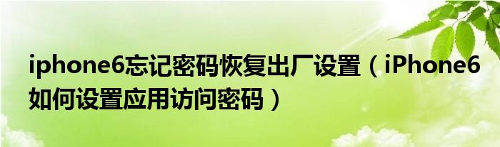 iphone6忘记密码恢复出厂设置(iPhone6如何设置应用访问密码)