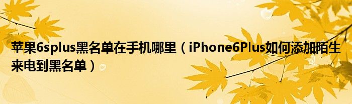 苹果6splus黑名单在手机哪里(iPhone6Plus如何将陌生来电加入黑名单)