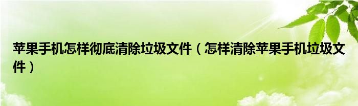 如何彻底清理苹果手机上的垃圾文件(如何清理苹果手机上的垃圾文件)