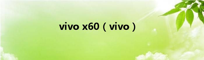 vivo x60(vivo)