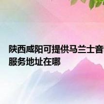 陕西咸阳可提供马兰士音响维修服务地址在哪