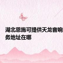 湖北恩施可提供天龙音响维修服务地址在哪