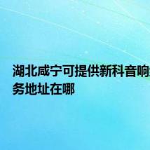 湖北咸宁可提供新科音响维修服务地址在哪