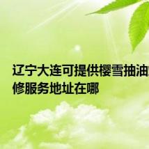 辽宁大连可提供樱雪抽油烟机维修服务地址在哪