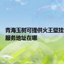 青海玉树可提供火王壁挂炉维修服务地址在哪