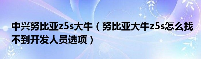 中兴努比亚z5s大牛(为什么努比亚z5s大牛找不到开发者选项)