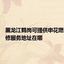 黑龙江鹤岗可提供申花燃气灶维修服务地址在哪