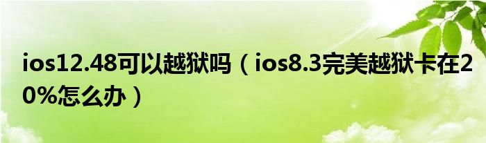 ios12.48可以越狱吗？(如果ios8.3的完美越狱卡是20%呢)