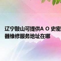 辽宁鞍山可提供A O 史密斯热水器维修服务地址在哪