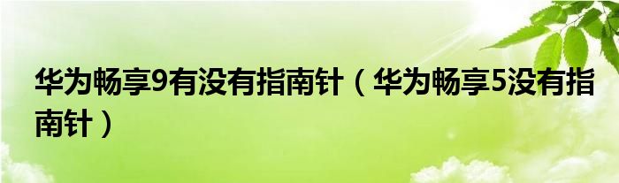 华为畅享9有指南针吗(华为畅享5没有指南针)