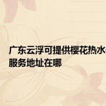 广东云浮可提供樱花热水器维修服务地址在哪