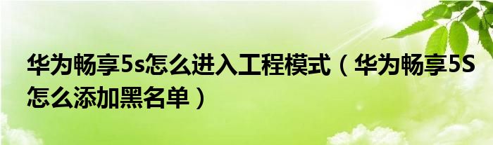 华为畅享5s如何进入工程模式(华为畅享5S如何添加黑名单)