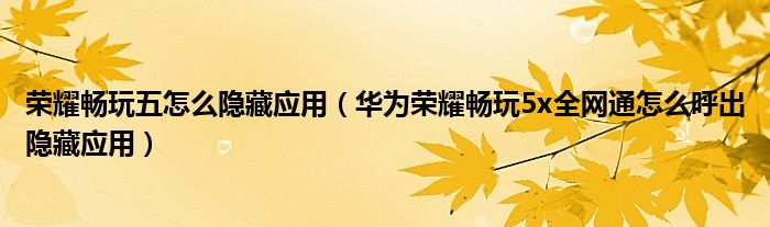 荣耀畅玩五如何隐藏应用(华为荣耀畅玩5x全网通如何调出隐藏的应用)