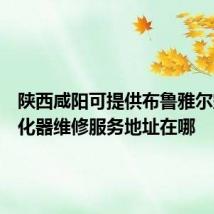 陕西咸阳可提供布鲁雅尔空气净化器维修服务地址在哪