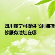 四川遂宁可提供飞利浦挂烫机维修服务地址在哪