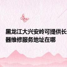 黑龙江大兴安岭可提供长城服务器维修服务地址在哪