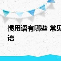 惯用语有哪些 常见惯用语
