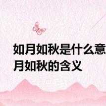如月如秋是什么意思 如月如秋的含义