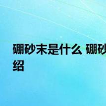 硼砂末是什么 硼砂末介绍