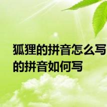 狐狸的拼音怎么写 狐狸的拼音如何写