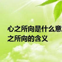 心之所向是什么意思 心之所向的含义