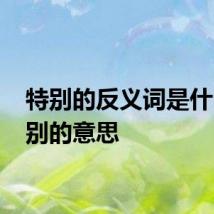 特别的反义词是什么 特别的意思