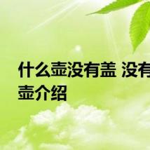 什么壶没有盖 没有盖的壶介绍