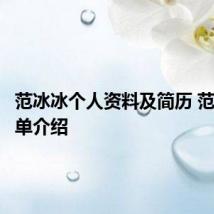范冰冰个人资料及简历 范冰冰简单介绍