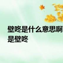 壁咚是什么意思啊 什么是壁咚