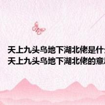 天上九头鸟地下湖北佬是什么意思 天上九头鸟地下湖北佬的意思