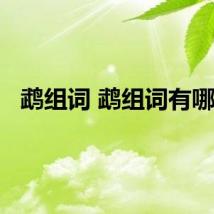 鹉组词 鹉组词有哪些