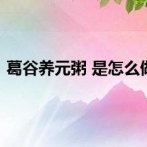 葛谷养元粥 是怎么做的