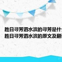 胜日寻芳泗水滨的寻芳是什么意思 胜日寻芳泗水滨的原文及翻译