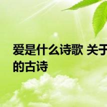爱是什么诗歌 关于爱情的古诗