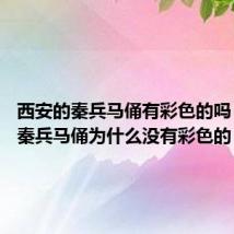 西安的秦兵马俑有彩色的吗 西安的秦兵马俑为什么没有彩色的