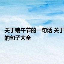 关于端午节的一句话 关于端午节的句子大全