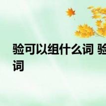 验可以组什么词 验字组词