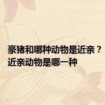 豪猪和哪种动物是近亲? 豪猪的近亲动物是哪一种