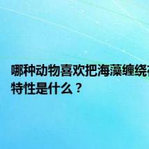 哪种动物喜欢把海藻缠绕在身上 特性是什么?