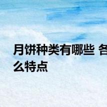 月饼种类有哪些 各有什么特点