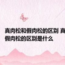 真肉松和假肉松的区别 真肉松和假肉松的区别是什么