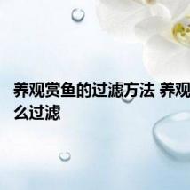 养观赏鱼的过滤方法 养观赏鱼怎么过滤