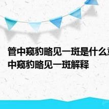 管中窥豹略见一斑是什么意思 管中窥豹略见一斑解释