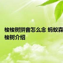 梭梭树拼音怎么念 蚂蚁森林的梭梭树介绍