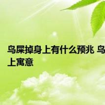 鸟屎掉身上有什么预兆 鸟屎掉身上寓意