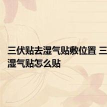 三伏贴去湿气贴敷位置 三伏贴去湿气贴怎么贴