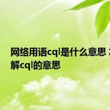 网络用语cql是什么意思 怎么理解cql的意思