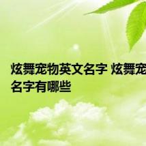 炫舞宠物英文名字 炫舞宠物英文名字有哪些
